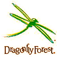 DragonFly Forest Summer Camps